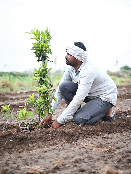Agriculture & Horticulture