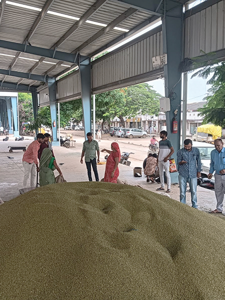 Bandhutva Farmer Producer Organization