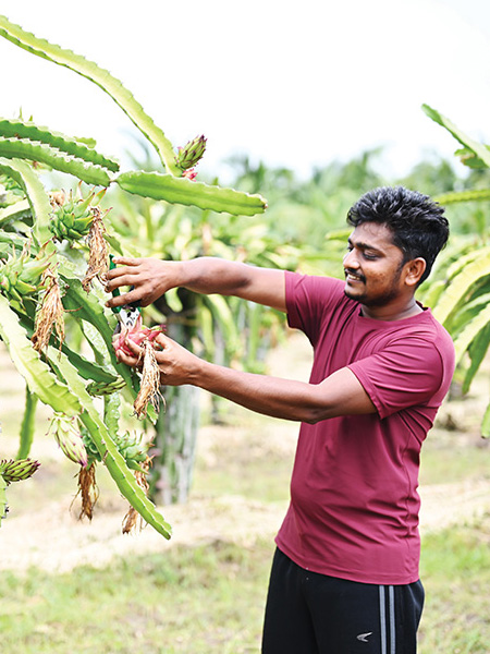 Centre for Agriculture-Horticulture Development