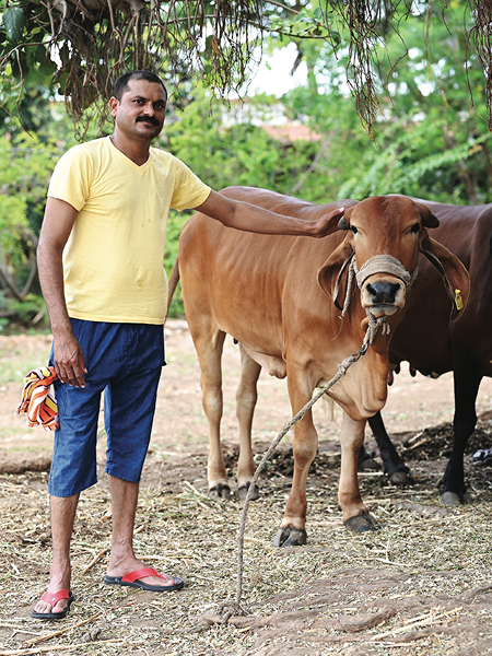 Animal Husbandry